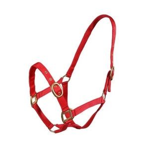Nylon Halter 01