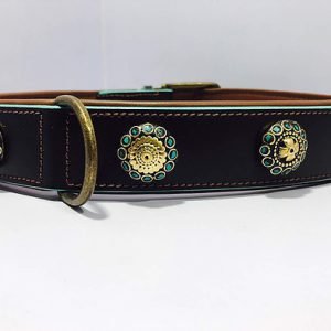 Dog Collar 01