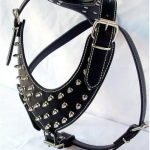 Dog Harness 01