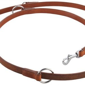 Dog Lead 01