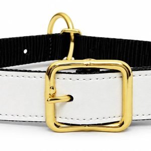 NYLON DOG COLLAR
